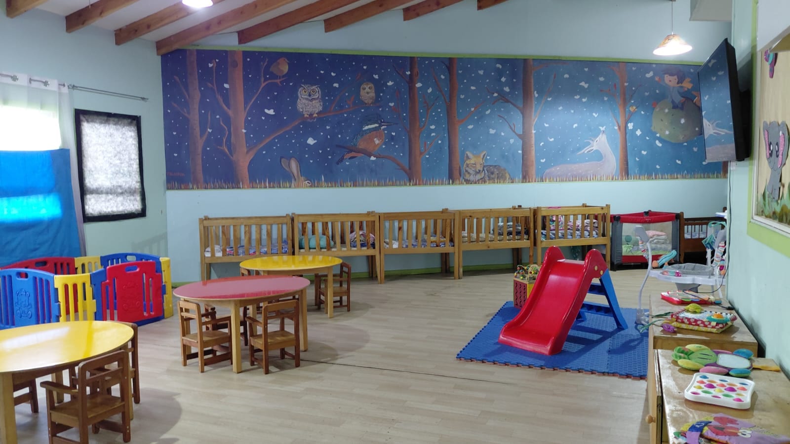 Pequeñas Manzanitas — la sala cuna por dentro